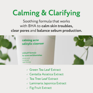 A product image of the best salicylic acid cleanser by Face Republic