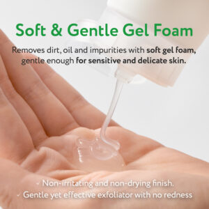 A product image of the best salicylic acid cleanser by Face Republic